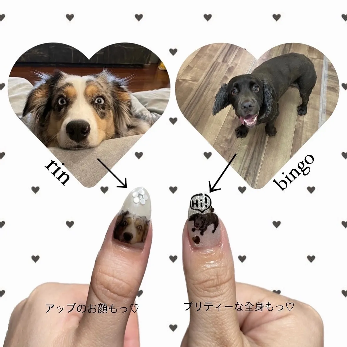 皆様の大切な愛犬🐶愛猫🐈⬛その他ペットちゃん達のネイルしま...