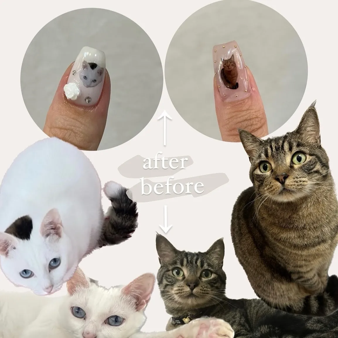 皆様の大切な愛犬🐶愛猫🐈⬛その他ペットちゃん達のネイルしま...